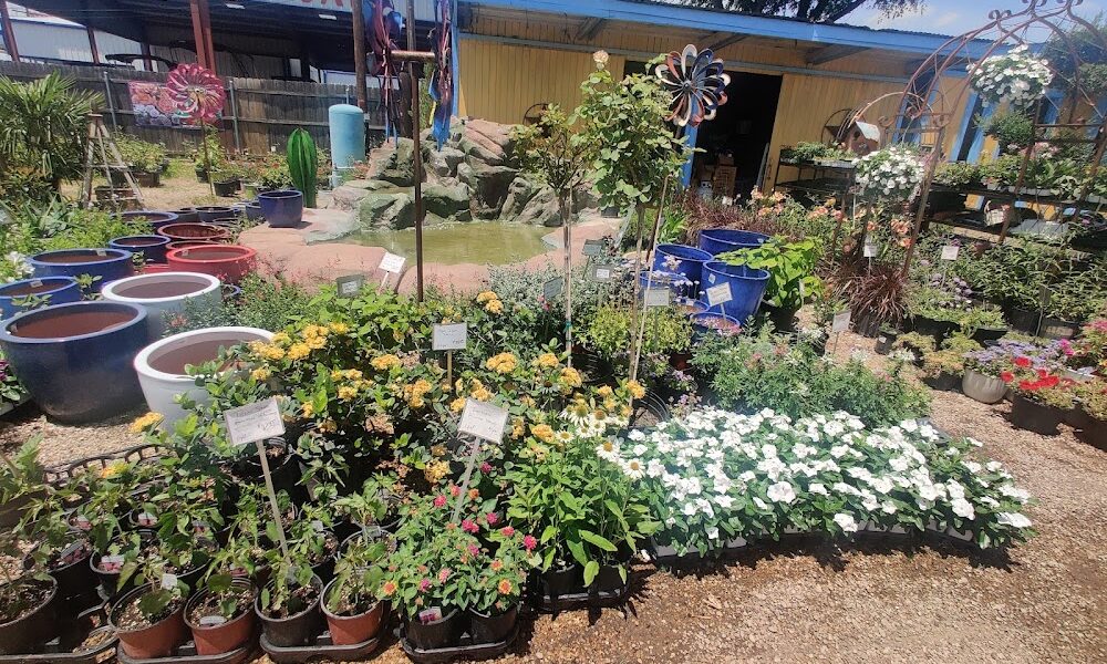 Hartwell’s Nursery