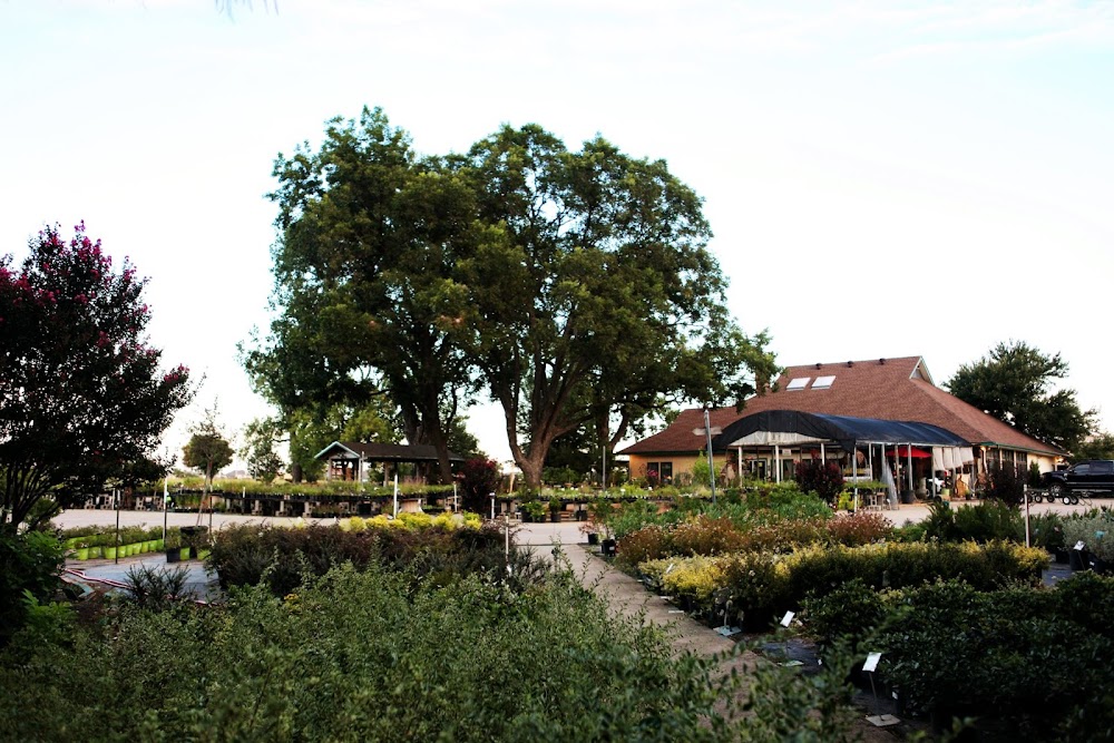 Shades of Green Nursery + Landscape