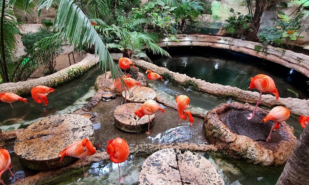 The Dallas World Aquarium