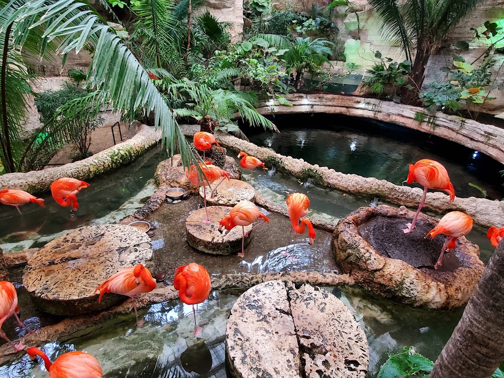 The Dallas World Aquarium